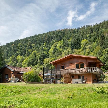 Chalets Du Bouchot & Jacuzzi Privatif Proximite Gerardmer & La Bresse Rochesson Екстериор снимка